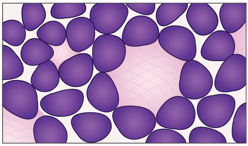 hw-rosette