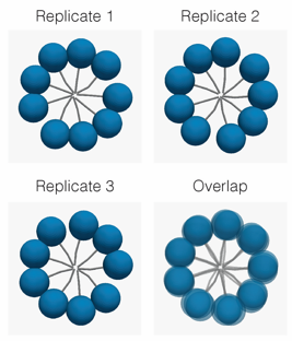 replicates